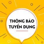 MiTEX Trading thông báo tuyển dụng vị trí nhân viên Dự án