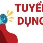 MiTEX Trading thông báo tuyển dụng vị trí kế toán hành chính